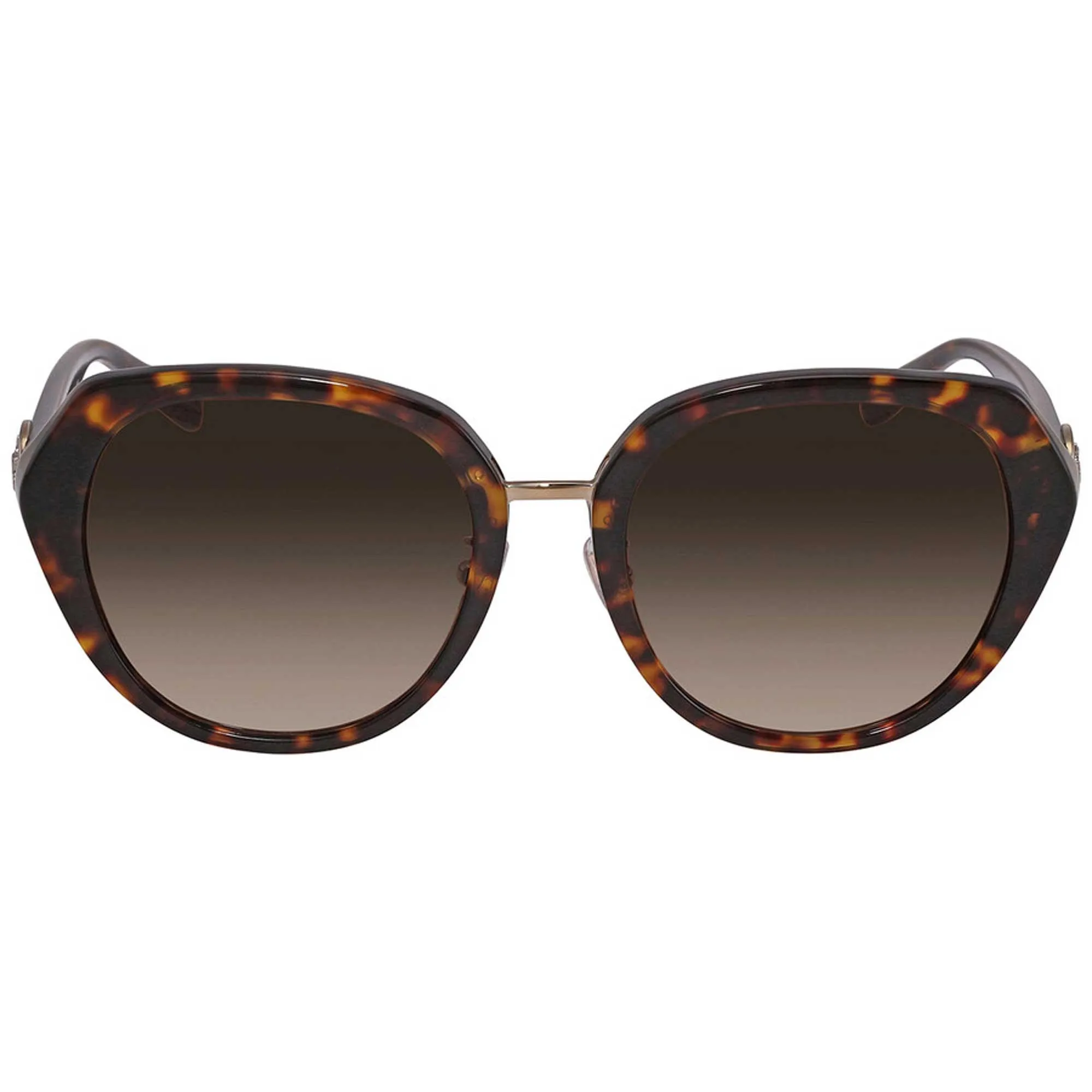Coach Women's Sunglasses - Adjustable Nose Pads Dark Havana Oval Frame 0HC8331 512013