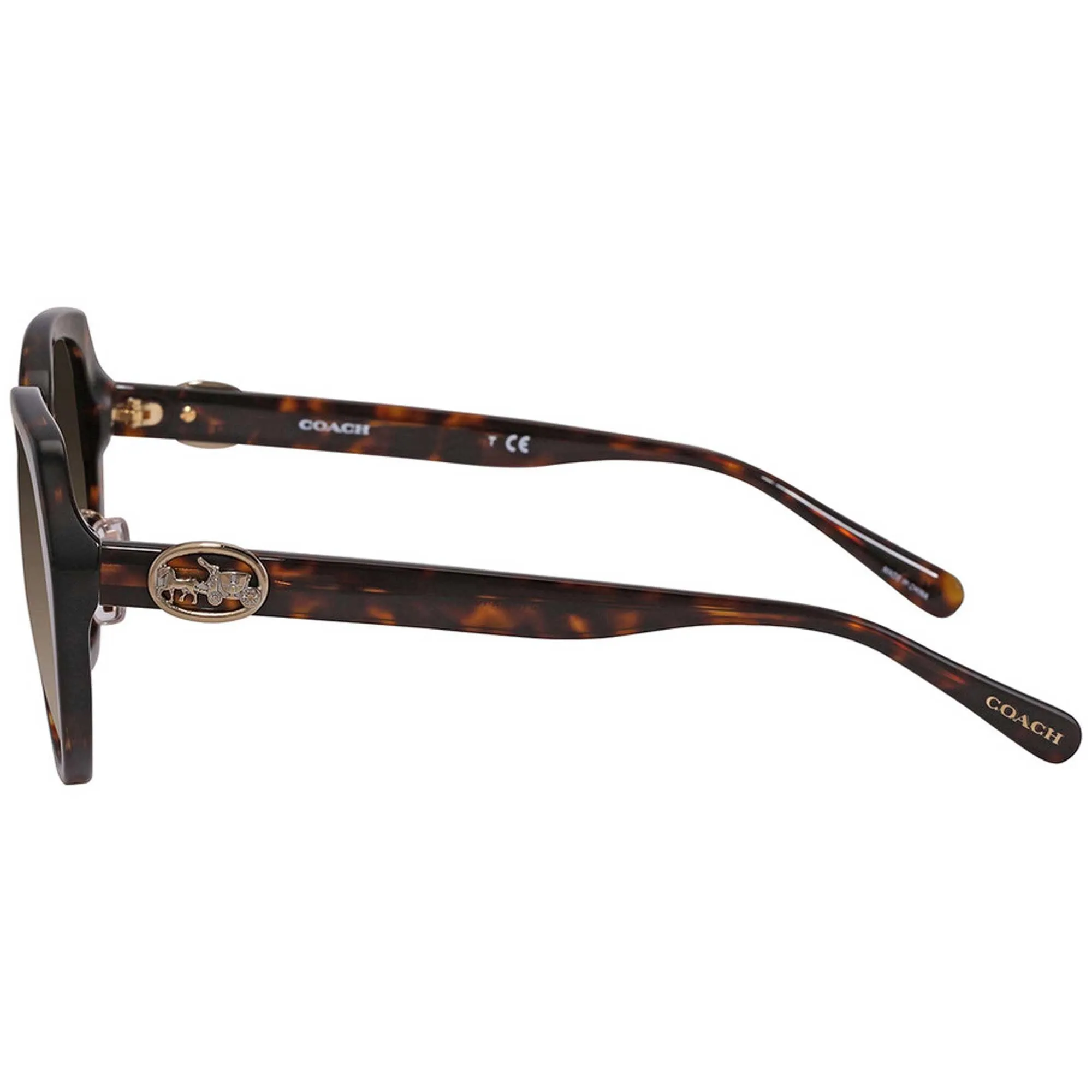 Coach Women's Sunglasses - Adjustable Nose Pads Dark Havana Oval Frame 0HC8331 512013